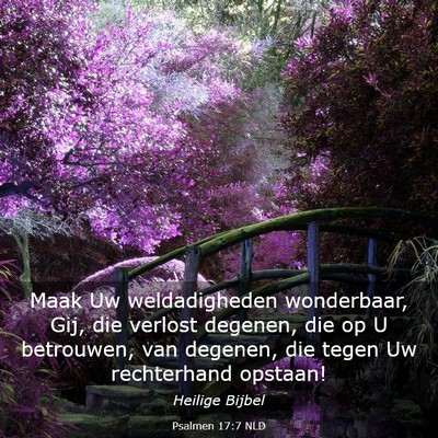 Picture 03 - Psalmen 17:7 NLD - Maak Uw weldadigheden wonderbaar, Gij, die - Bible Verse Picture