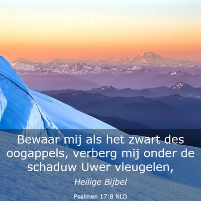 Picture 03 - Psalmen 17:8 NLD - Bewaar mij als het zwart des oogappels, verberg - Bible Verse Picture