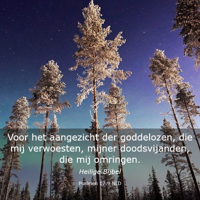 Picture 03 - Psalmen 17:9 NLD - Voor het aangezicht der goddelozen, die mij - Bible Verse Picture