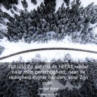 Picture 03 - Psalmen 18:24 NLD - (18:25) Zo gaf mij de HEERE weder naar mijn - Bible Verse Picture