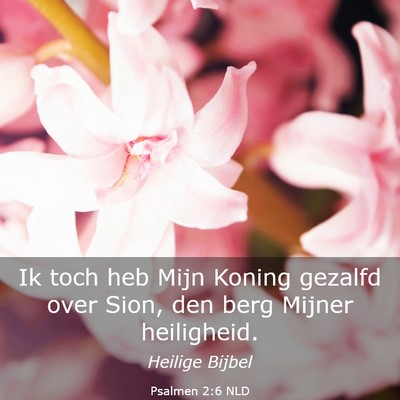 Picture 03 - Psalmen 2:6 NLD - Ik toch heb Mijn Koning gezalfd over Sion, den - Bible Verse Picture