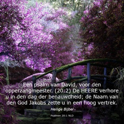 Picture 03 - Psalmen 20:1 NLD - Een psalm van David, voor den opperzangmeester. - Bible Verse Picture