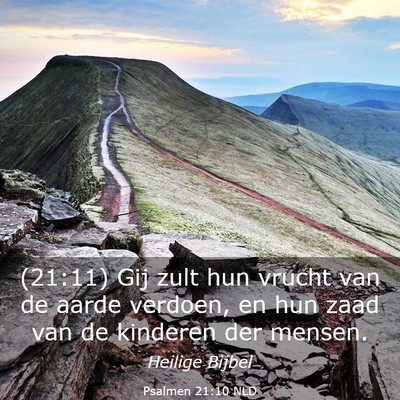 Picture 03 - Psalmen 21:10 NLD - (21:11) Gij zult hun vrucht van de aarde verdoen, - Bible Verse Picture