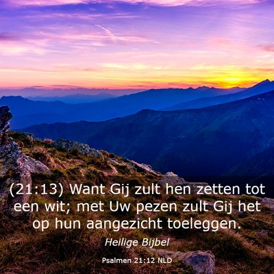 Picture 03 - Psalmen 21:12 NLD - (21:13) Want Gij zult hen zetten tot een wit; met - Bible Verse Picture