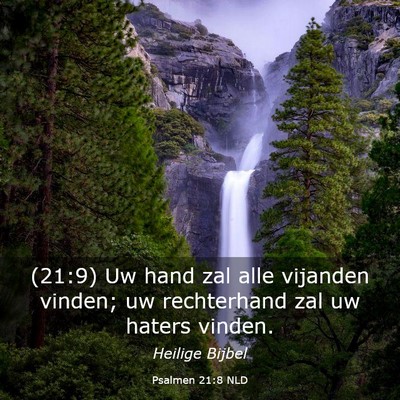 Picture 03 - Psalmen 21:8 NLD - (21:9) Uw hand zal alle vijanden vinden; uw - Bible Verse Picture