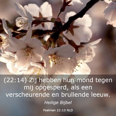 Picture 03 - Psalmen 22:13 NLD - (22:14) Zij hebben hun mond tegen mij opgesperd, - Bible Verse Picture