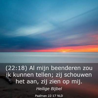 Picture 03 - Psalmen 22:17 NLD - (22:18) Al mijn beenderen zou ik kunnen tellen; - Bible Verse Picture
