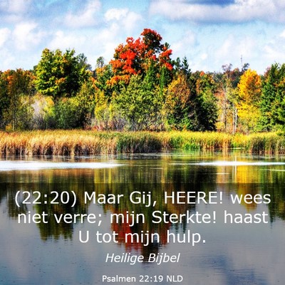 Picture 03 - Psalmen 22:19 NLD - (22:20) Maar Gij, HEERE! wees niet verre; mijn - Bible Verse Picture