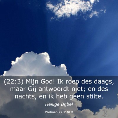 Picture 03 - Psalmen 22:2 NLD - (22:3) Mijn God! Ik roep des daags, maar Gij - Bible Verse Picture