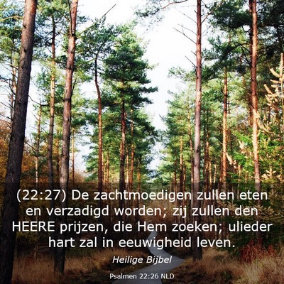 Picture 03 - Psalmen 22:26 NLD - (22:27) De zachtmoedigen zullen eten en verzadigd - Bible Verse Picture
