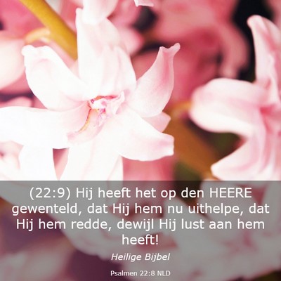 Picture 03 - Psalmen 22:8 NLD - (22:9) Hij heeft het op den HEERE gewenteld, dat - Bible Verse Picture
