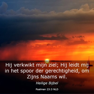 Picture 03 - Psalmen 23:3 NLD - Hij verkwikt mijn ziel; Hij leidt mij in het - Bible Verse Picture
