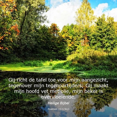 Picture 03 - Psalmen 23:5 NLD - Gij richt de tafel toe voor mijn aangezicht, - Bible Verse Picture