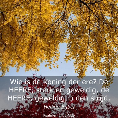 Picture 03 - Psalmen 24:8 NLD - Wie is de Koning der ere? De HEERE, sterk en - Bible Verse Picture