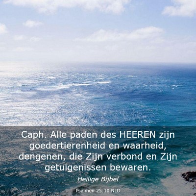 Picture 03 - Psalmen 25:10 NLD - Caph. Alle paden des HEEREN zijn goedertierenheid - Bible Verse Picture