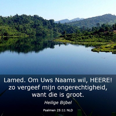 Picture 03 - Psalmen 25:11 NLD - Lamed. Om Uws Naams wil, HEERE! zo vergeef mijn - Bible Verse Picture