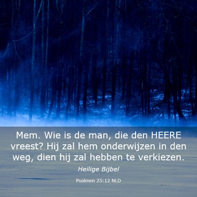 Picture 03 - Psalmen 25:12 NLD - Mem. Wie is de man, die den HEERE vreest? Hij zal - Bible Verse Picture