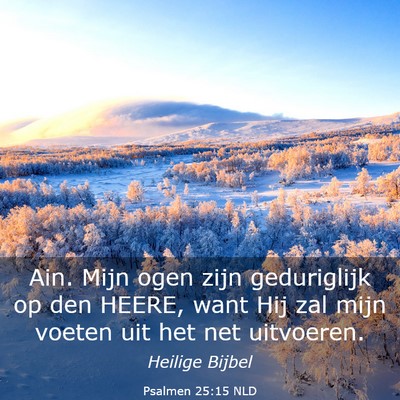 Picture 03 - Psalmen 25:15 NLD - Ain. Mijn ogen zijn geduriglijk op den HEERE, - Bible Verse Picture