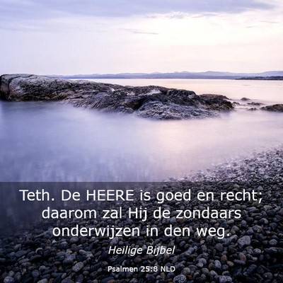 Picture 03 - Psalmen 25:8 NLD - Teth. De HEERE is goed en recht; daarom zal Hij - Bible Verse Picture