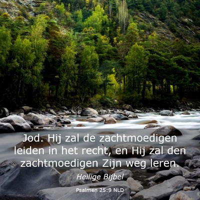 Picture 03 - Psalmen 25:9 NLD - Jod. Hij zal de zachtmoedigen leiden in het - Bible Verse Picture