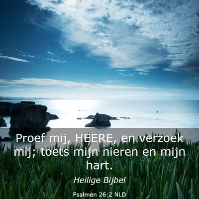 Picture 03 - Psalmen 26:2 NLD - Proef mij, HEERE, en verzoek mij; toets mijn - Bible Verse Picture