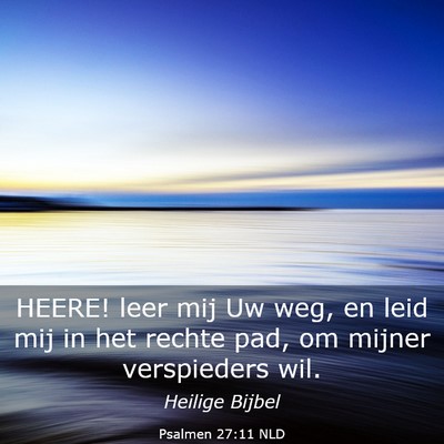 Picture 03 - Psalmen 27:11 NLD - HEERE! leer mij Uw weg, en leid mij in het rechte - Bible Verse Picture