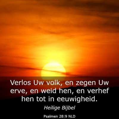 Picture 03 - Psalmen 28:9 NLD - Verlos Uw volk, en zegen Uw erve, en weid hen, en - Bible Verse Picture
