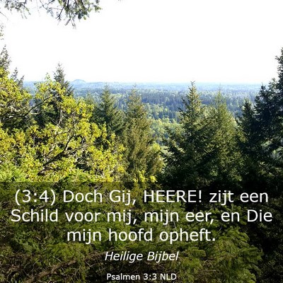 Picture 03 - Psalmen 3:3 NLD - (3:4) Doch Gij, HEERE! zijt een Schild voor mij, - Bible Verse Picture