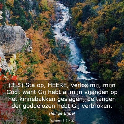 Picture 03 - Psalmen 3:7 NLD - (3:8) Sta op, HEERE, verlos mij, mijn God; want - Bible Verse Picture