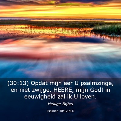 Picture 03 - Psalmen 30:12 NLD - (30:13) Opdat mijn eer U psalmzinge, en niet - Bible Verse Picture