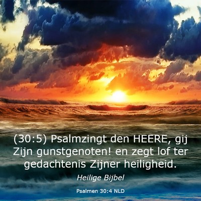 Picture 03 - Psalmen 30:4 NLD - (30:5) Psalmzingt den HEERE, gij Zijn - Bible Verse Picture