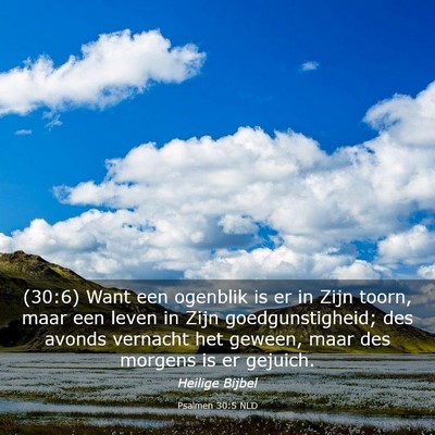 Picture 03 - Psalmen 30:5 NLD - (30:6) Want een ogenblik is er in Zijn toorn, - Bible Verse Picture