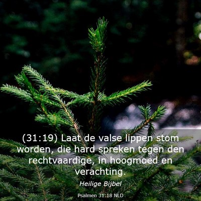 Picture 03 - Psalmen 31:18 NLD - (31:19) Laat de valse lippen stom worden, die - Bible Verse Picture