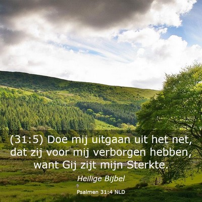 Picture 03 - Psalmen 31:4 NLD - (31:5) Doe mij uitgaan uit het net, dat zij voor - Bible Verse Picture