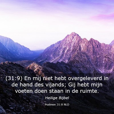 Picture 03 - Psalmen 31:8 NLD - (31:9) En mij niet hebt overgeleverd in de hand - Bible Verse Picture