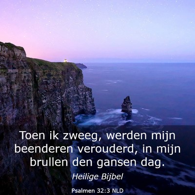 Picture 03 - Psalmen 32:3 NLD - Toen ik zweeg, werden mijn beenderen verouderd, - Bible Verse Picture