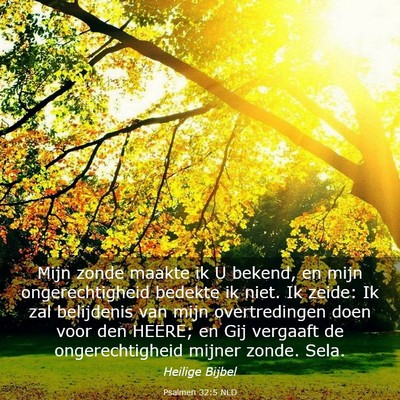 Picture 03 - Psalmen 32:5 NLD - Mijn zonde maakte ik U bekend, en mijn - Bible Verse Picture