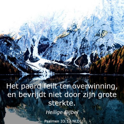 Picture 03 - Psalmen 33:17 NLD - Het paard feilt ter overwinning, en bevrijdt niet - Bible Verse Picture