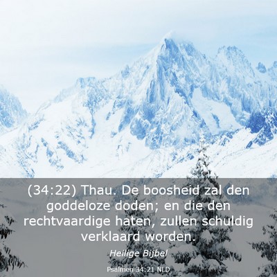 Picture 03 - Psalmen 34:21 NLD - (34:22) Thau. De boosheid zal den goddeloze - Bible Verse Picture