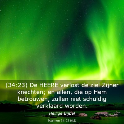 Picture 03 - Psalmen 34:22 NLD - (34:23) De HEERE verlost de ziel Zijner knechten; - Bible Verse Picture