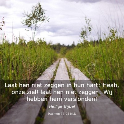 Picture 03 - Psalmen 35:25 NLD - Laat hen niet zeggen in hun hart: Heah, onze - Bible Verse Picture