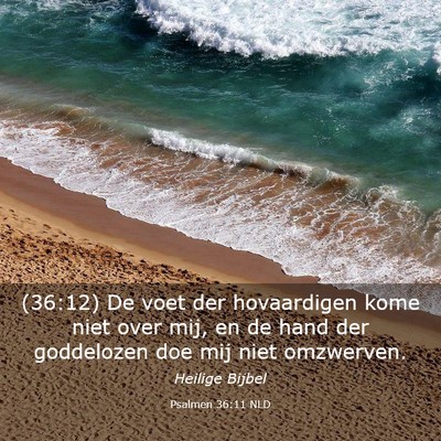 Picture 03 - Psalmen 36:11 NLD - (36:12) De voet der hovaardigen kome niet over - Bible Verse Picture