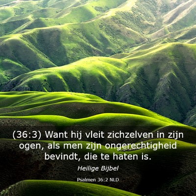Picture 03 - Psalmen 36:2 NLD - (36:3) Want hij vleit zichzelven in zijn ogen, - Bible Verse Picture