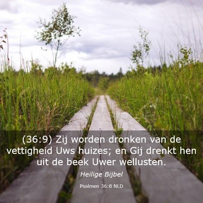 Picture 03 - Psalmen 36:8 NLD - (36:9) Zij worden dronken van de vettigheid Uws - Bible Verse Picture