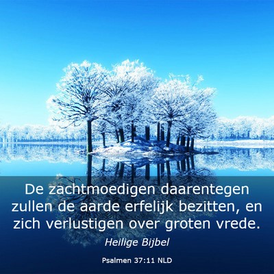 Picture 03 - Psalmen 37:11 NLD - De zachtmoedigen daarentegen zullen de aarde - Bible Verse Picture