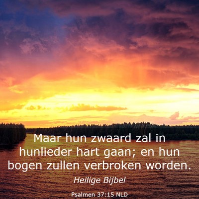 Picture 03 - Psalmen 37:15 NLD - Maar hun zwaard zal in hunlieder hart gaan; en - Bible Verse Picture