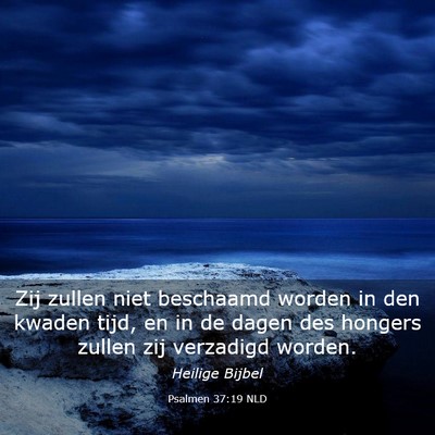 Picture 03 - Psalmen 37:19 NLD - Zij zullen niet beschaamd worden in den kwaden - Bible Verse Picture