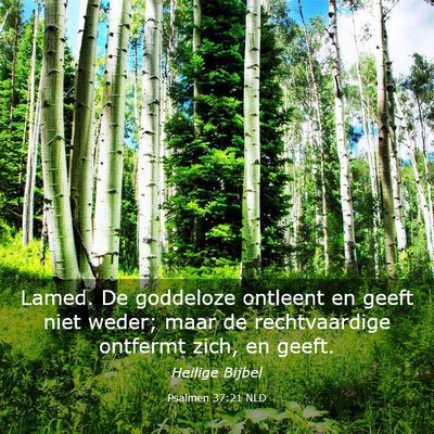 Picture 03 - Psalmen 37:21 NLD - Lamed. De goddeloze ontleent en geeft niet weder; - Bible Verse Picture