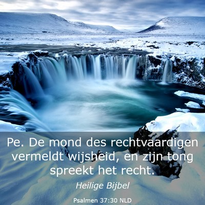 Picture 03 - Psalmen 37:30 NLD - Pe. De mond des rechtvaardigen vermeldt wijsheid, - Bible Verse Picture
