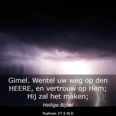 Picture 03 - Psalmen 37:5 NLD - Gimel. Wentel uw weg op den HEERE, en vertrouw op - Bible Verse Picture